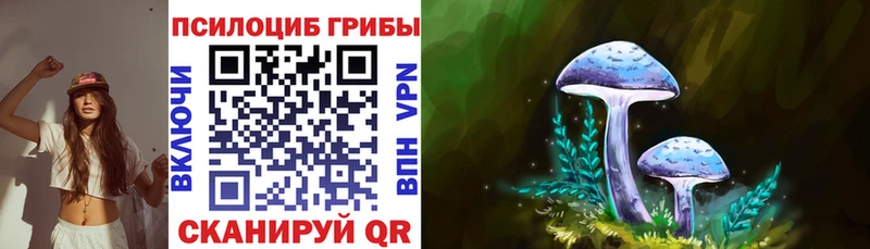 Купить где  Карпинск  Псилоцибиновые грибы прущие грибы 